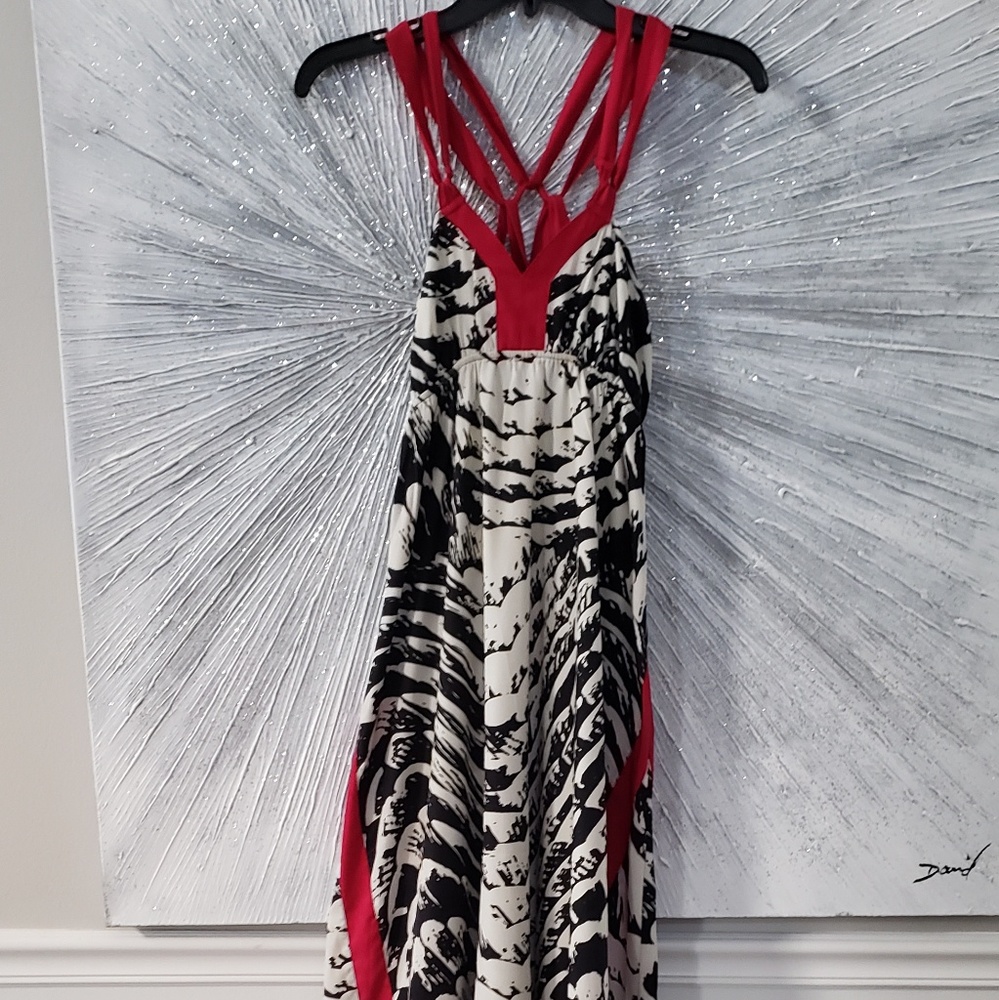 Express Maxi Dress